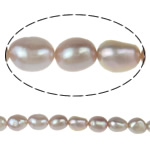 Barocco coltivate in acqua dolce Perla, perla d'acquadolce coltivata naturalmente, viola, Grade AA, 8-9mm, Foro:Appross. 0.8mm, Venduto per 15.5 pollice filo