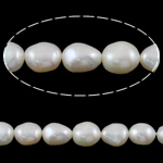 Barock odlad sötvattenspärla pärlor, Freshwater Pearl, vit, Grade A, 8-9mm, Hål:Ca 0.8mm, Såld Per 15 inch Strand