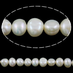 Barock odlad sötvattenspärla pärlor, Freshwater Pearl, vit, Grade A, 7-8mm, Hål:Ca 0.8mm, Såld Per 15 inch Strand