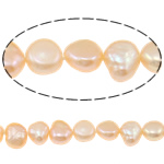 Barock odlad sötvattenspärla pärlor, Freshwater Pearl, rosa, Grade A, 7-8mm, Hål:Ca 0.8mm, Såld Per 15 inch Strand