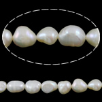 Barock odlad sötvattenspärla pärlor, Freshwater Pearl, vit, Grade A, 7-8mm, Hål:Ca 0.8mm, Såld Per 15 inch Strand