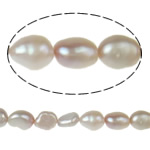 Barock odlad sötvattenspärla pärlor, Freshwater Pearl, purpur, Grade A, 7-8mm, Hål:Ca 0.8mm, Såld Per 15 inch Strand