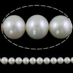 Perlas Redondas Freshwater, Perlas cultivadas de agua dulce, Esférico, natural, Blanco, Grado AA, 9-10mm, agujero:aproximado 0.8mm, Vendido para 15 Inch Sarta