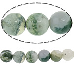 Tree Agate perler, Runde, 8mm, Hole:Ca. 1mm, Længde Ca. 15 inch, 10Strands/Lot, Ca. 47pc'er/Strand, Solgt af Lot