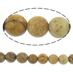 Perles en jaspe image, jaspe de photo, Rond, naturel, jaune de rotin, 4mm, Longueur:Environ 16 pouce, 10Strandstoron/lot, Environ 101PC/brin, Vendu par lot