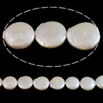 Perlas Moneda Freshwater, Perlas cultivadas de agua dulce, Blanco, 19-20mm, agujero:aproximado 0.8mm, Vendido para 15 Inch Sarta