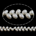 Cultured Rice Freshwater Pearl Beads, natural, white, Grade A, 7-8mm, Hole:Approx 0.8mm, Sold Per 15 Inch Strand