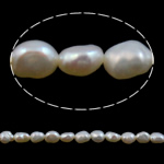 Barock kultivierten Süßwassersee Perlen, Natürliche kultivierte Süßwasserperlen, weiß, Klasse AA, 5-6mm, Bohrung:ca. 0.8mm, verkauft per 15 ZollInch Strang