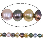 Barock odlad sötvattenspärla pärlor, Freshwater Pearl, blandade färger, 8-9mm, Hål:Ca 0.8mm, Såld Per Ca 15 inch Strand