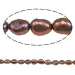 Barok ferskvandskulturperle Beads, Ferskvandsperle, mørklilla, 5-6mm, Hole:Ca. 0.8mm, Solgt Per 15.4 inch Strand