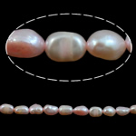 Perla Barroca Freshwater, Perlas cultivadas de agua dulce, Rosado, 5-6mm, agujero:aproximado 0.8mm, Vendido para 15.4 Inch Sarta