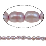 Perla Barroca Freshwater, Perlas cultivadas de agua dulce, violeta gris, 8-9mm, agujero:aproximado 0.8mm, Vendido para 15.7 Inch Sarta