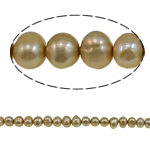 Barok ferskvandskulturperle Beads, Ferskvandsperle, gul, 5-6mm, Hole:Ca. 0.8mm, Solgt Per 15.4 inch Strand
