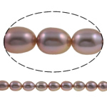 Perlas Arroz Freshwater, Perlas cultivadas de agua dulce, natural, Púrpura, Grado A, 6-7mm, agujero:aproximado 0.8mm, Vendido para 15 Inch Sarta