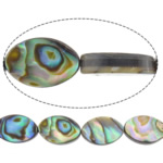 Abalone Shell korálky, Flat Oval, přírodní, 8x12x3mm, Otvor:Cca 0.7mm, Délka Cca 15.5 inch, 5přediva/Lot, Prodáno By Lot