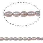 Cultured Rice Freshwater Pearl Beads, purple, Grade A, 2-3mm, Hole:Approx 0.8mm, Sold Per Approx 13.3 Inch Strand