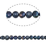 Barock kultivierten Süßwassersee Perlen, Natürliche kultivierte Süßwasserperlen, Klumpen, blau, 8-9mm, Bohrung:ca. 0.8mm, verkauft per ca. 15 ZollInch Strang