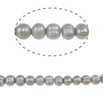 Barokna Kulturan Slatkovodni Pearl perle, Krug, siv, 10-11mm, Rupa:Približno 0.8mm, Prodano Per Približno 15 inčni Strand