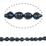 Perles d'eau douce de culture de riz, perle d'eau douce cultivée, bleue-noir, 10-11mm, Trou:Environ 0.8mm, Vendu par Environ 14.7 pouce brin