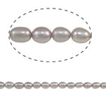 Cultured Rice Freshwater Pearl Beads, purple, Grade A, 4-5mm, Hole:Approx 0.8mm, Sold Per Approx 14.5 Inch Strand
