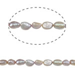 Barok ferskvandskulturperle Beads, Ferskvandsperle, Nuggets, lilla, 9-10mm, Hole:Ca. 0.8mm, Solgt Per Ca. 14 inch Strand