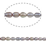 Perlas Arroz Freshwater, Perlas cultivadas de agua dulce, Púrpura, Grado A, 9-10mm, agujero:aproximado 0.8mm, Vendido para aproximado 14.5 Inch Sarta