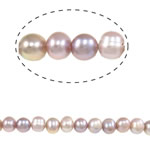 Perles nacres baroques de culture d'eau douce , perle d'eau douce cultivée, Rond, violet, 10-11mm, Trou:Environ 0.8mm, Vendu par 15 pouce brin