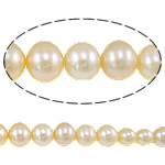Cultured Round Freshwater Pearl Beads pink Grade AA 3.5-8mm Approx 0.8mm Sold Per 16 Inch Strand
