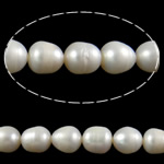 Perlas Arroz Freshwater, Perlas cultivadas de agua dulce, Blanco, Grado AA, 12-13mm, agujero:aproximado 0.8mm, Vendido para aproximado 15.7 Inch Sarta