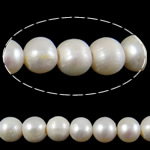 Perlas Redondas Freshwater, Perlas cultivadas de agua dulce, Esférico, Blanco, Grado A, 11-12mm, agujero:aproximado 2.5mm, Vendido para 15 Inch Sarta