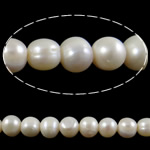 Barock kultivierten Süßwassersee Perlen, Natürliche kultivierte Süßwasserperlen, rund, weiß, 9-10mm, Bohrung:ca. 1.5mm, verkauft per ca. 15 ZollInch Strang