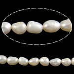 Perles nacres baroques de culture d'eau douce , perle d'eau douce cultivée, riz, blanc, 9-10mm, Trou:Environ 0.8mm, Vendu par 14.5 pouce brin