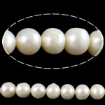 Perles nacres baroques de culture d'eau douce , perle d'eau douce cultivée, Rond, blanc, 10-11mm, Trou:Environ 0.8mm, Vendu par Environ 15.3 pouce brin