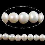 Barock kultivierten Süßwassersee Perlen, Natürliche kultivierte Süßwasserperlen, rund, weiß, 9-10mm, Bohrung:ca. 2mm, verkauft per 15 ZollInch Strang