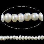 Barock kultivierten Süßwassersee Perlen, Natürliche kultivierte Süßwasserperlen, oval, weiß, 3-4mm, Bohrung:ca. 0.8mm, verkauft per 13.5 ZollInch Strang