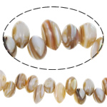 Perles en coquillage blanc naturel, coquille blanche, 9-10mm, Trou:Environ 0.8mm, Vendu par Environ 15 pouce brin