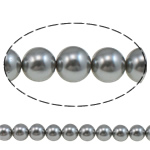 Peties perles de la mer du sud, coquille de mer du sud, Rond, gris, 8mm, Trou:Environ 0.8mm, Vendu par 15.5 pouce brin