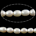 Perlas Arroz Freshwater, Perlas cultivadas de agua dulce, natural, Blanco, Grado AAA, 7-8mm, agujero:aproximado 2mm, Vendido para aproximado 15 Inch Sarta