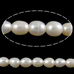 Cultured Rice Freshwater Pearl Beads, natural, white, Grade A, 8-9mm, Hole:Approx 2mm, Sold Per 15 Inch Strand