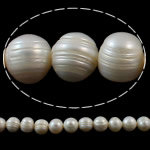 Barocco coltivate in acqua dolce Perla, perla d'acquadolce coltivata naturalmente, Cerchio, naturale, bianco, 11-12mm, Foro:Appross. 0.8mm, Venduto per Appross. 15.3 pollice filo