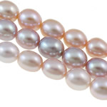 Riso coltivato in perla d'acqua dolce, perla d'acquadolce coltivata naturalmente, naturale, colori misti, grado A, 7-8mm, Foro:Appross. 0.8mm, Venduto per 15 pollice filo