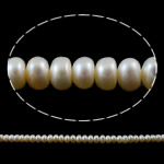 Bouton de culture des perles d'eau douce, perle d'eau douce cultivée, naturel, blanc, 6-7mm, Trou:Environ 0.8mm, Vendu par 14.5 pouce brin