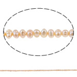 Baroko Kultūringas gėlavandenių perlų karoliukai, Gėlo vandens perlų, Bulvė, natūralus, šviesiai rausvos, 3-4mm, Skylė:Apytiksliai 0.8mm, Parduota už 15.7 Inch Strand