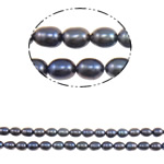 Cultured Rice Freshwater Pearl Beads natural dark purple Grade A 5mm Approx 0.8mm Sold Per 15 Inch Strand