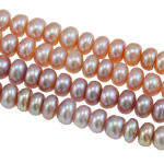 Cultured Button Freshwater Pearl Beads, Rondelle, natural, mixed colors, 5-6mm, Hole:Approx 0.8mm, Sold Per Approx 14.8 Inch Strand