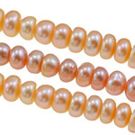 Cultured Button Freshwater Pearl Beads, Rondelle, natural, mixed colors, 5-6mm, Hole:Approx 0.8mm, Sold Per Approx 15 Inch Strand