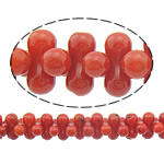 Natural Coral Helmet, Nuggets, punainen, 8x4mm, Reikä:N. 0.5mm, Pituus N. 16 tuuma, 10säikeet/erä, N. 150PC/Strand, Myymät erä