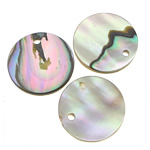 Natural Abalone Shell Pendants, Coin, 12-12.5x2mm, Hole:Approx 1mm, 50PCs/Lot, Sold By Lot