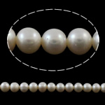 Perlas Redondas Freshwater, Perlas cultivadas de agua dulce, Esférico, natural, Blanco, 8-9mm, agujero:aproximado 0.8mm, Vendido para aproximado 15 Inch Sarta