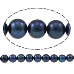 Perlas Redondas Freshwater, Perlas cultivadas de agua dulce, Esférico, natural, Negro, 8-9mm, agujero:aproximado 0.8-1mm, Vendido para aproximado 15.3 Inch Sarta